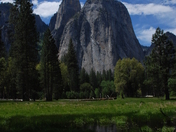 Yosemite National Park