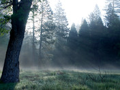 Yosemite National Park