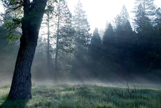 Yosemite National Park