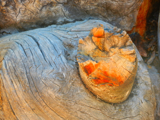Dinosaur National Monument