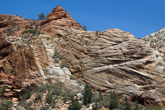 Zion National Park