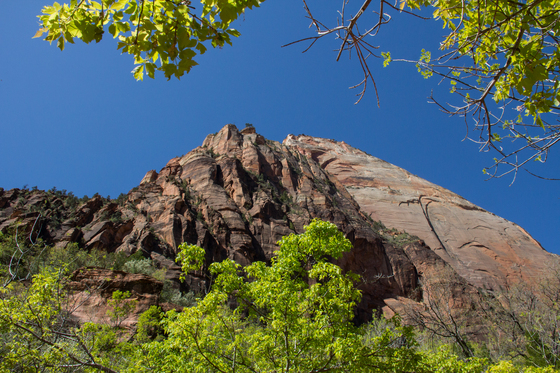 Zion National Park