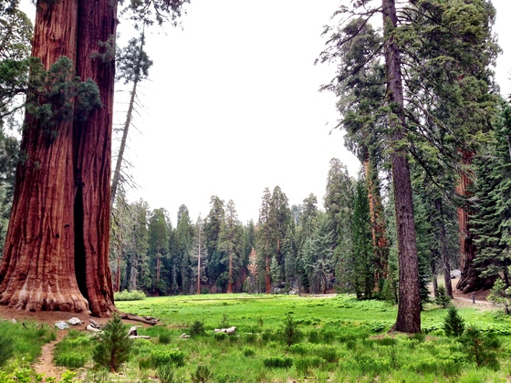 Sequoia National Park