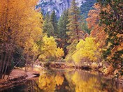Yosemite National Park