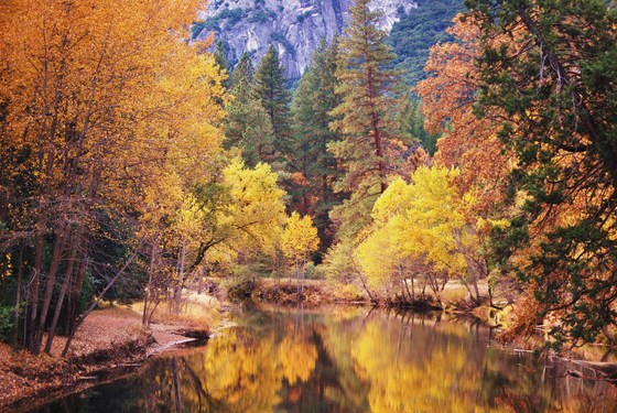 Yosemite National Park