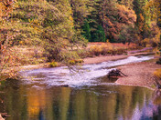 Yosemite National Park