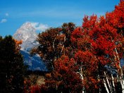 Teton National Park