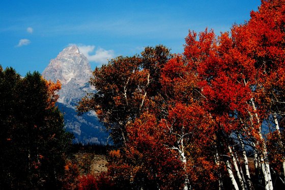 Teton National Park