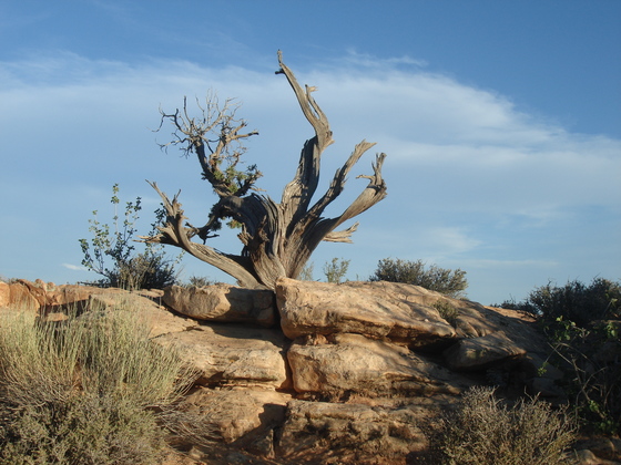 Canyonlands National Park