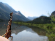 Glacier National Park