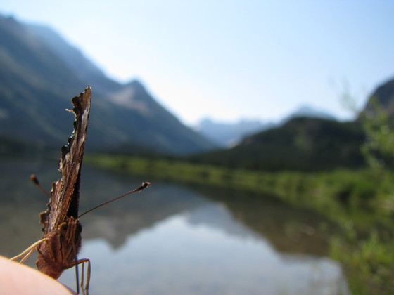 Glacier National Park