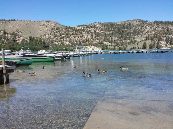 June Lake