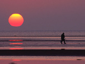 Clamdigger at sunrise, Baie Verte NB