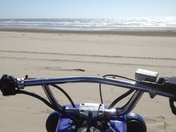 Driftwood II