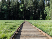 Yosemite National Park