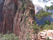 Zion NP