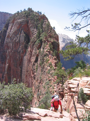 Zion NP
