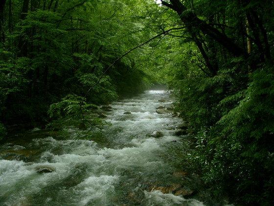 Great Smoky Mountains National Park