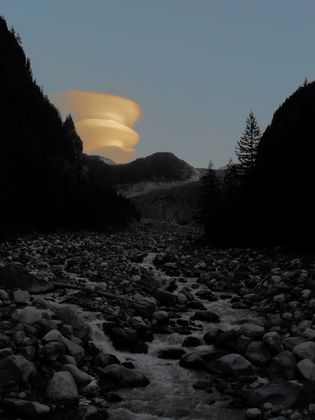 Mt. Rainier National Park