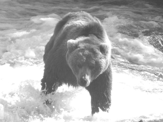 Katmai National Park