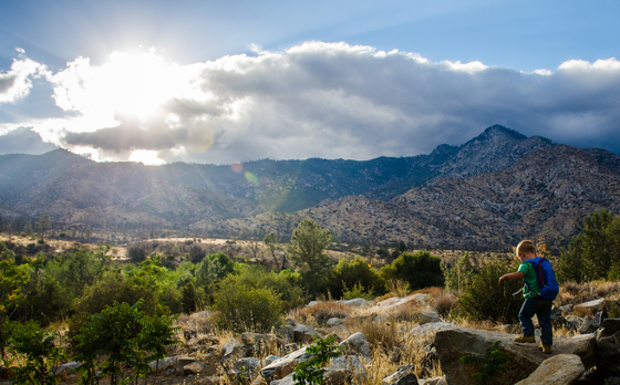 Sequoia National Forest