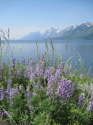 Grand Teton National Park