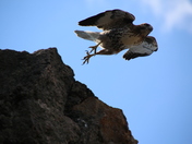 Crater Lake National Park