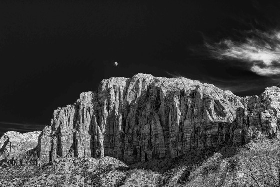 Zion National Park
