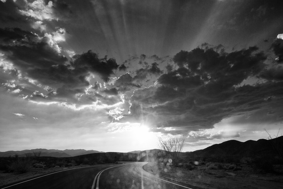 Joshua Tree National Park