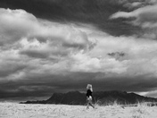 Mojave National Preserve