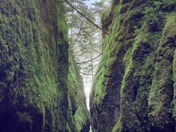Columbia River Gorge National Scenic Area