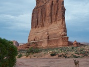 ARCHES NATL PARK