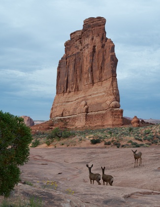 ARCHES NATL PARK