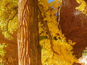 Grand Staircase Escalante National Monument
