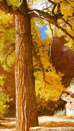 Grand Staircase Escalante National Monument