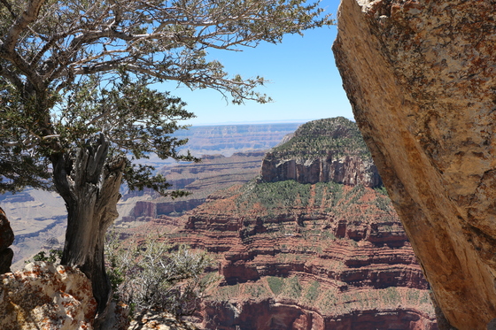 Grand Canyon National Park