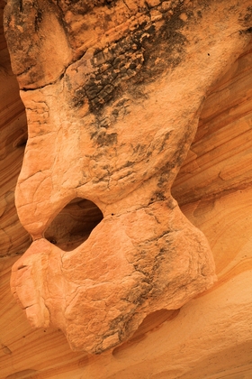 Capitol Reef National Park