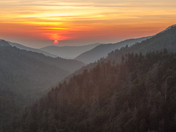 Great Smoky Mountain NP