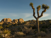 Joshua Tree National Park
