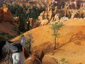 Bryce Canyon National Park