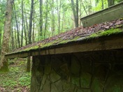 Joyce Kilmer Memorial Forest