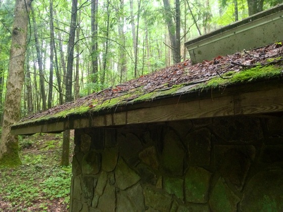 Joyce Kilmer Memorial Forest