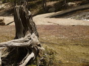 Rocky mountain national park.