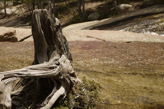 Rocky mountain national park.