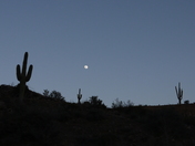 Tonto National Forest