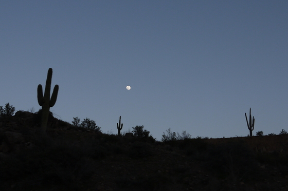 Tonto National Forest