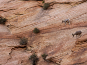 Zion National Park