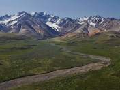 Denali National Park