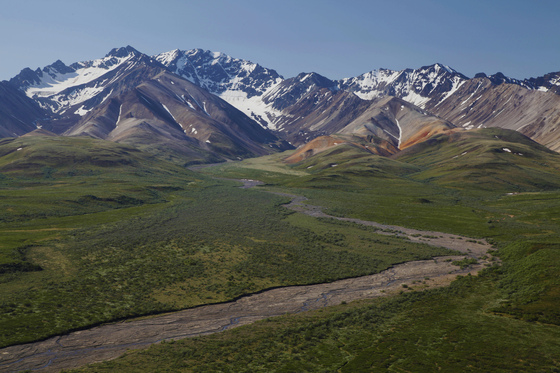 Denali National Park