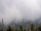 Smokey Mountain National Park